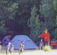 Maria Island Camping Ground - Accommodation QLD