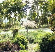 Cherry Park Estate - Accommodation QLD