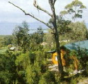 Partridge Farm - Accommodation QLD