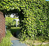 Kirra Guest House - Accommodation QLD