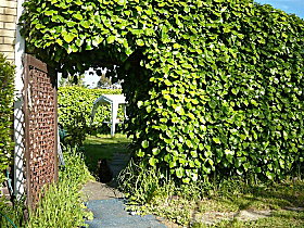 Kirra Guest House - Accommodation QLD 0