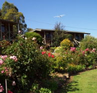 Mole Creek Holiday Village - Accommodation QLD