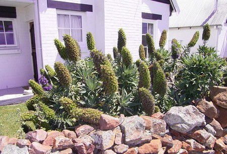Lester Cottages Complex - Accommodation QLD 2