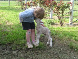 Taras Richmond Farmstay - Accommodation QLD 3