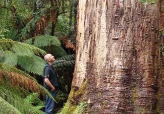 Fingal Hotel - Accommodation QLD 5