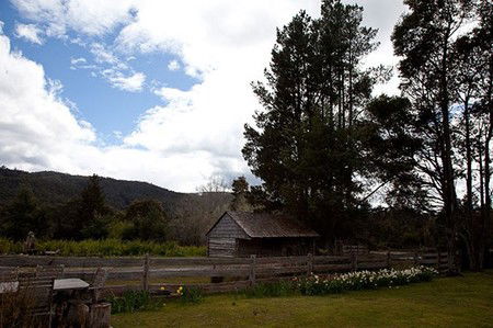 Gowrie Park Wilderness Village - Accommodation QLD 5
