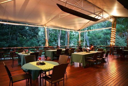 Cedar Park Rainforest Resort - Accommodation QLD 5