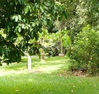 Kingfisher Park Birdwatchers Lodge - Accommodation QLD