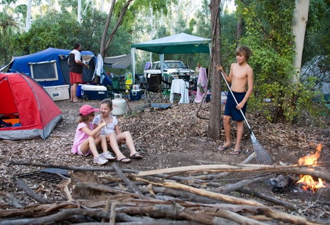 Adels Grove Camping Park - Accommodation QLD 1