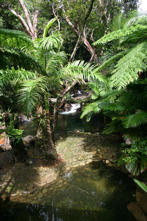 Daintree Secrets (Award Winning Retreat) - Accommodation QLD 4