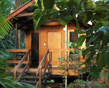 Cape Trib Beach House YHA - Accommodation QLD 4