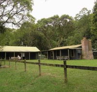 Tree Fern Lodge - Accommodation QLD
