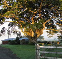 Arley Farm The Old Dairy - Accommodation QLD