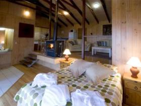 Treetops Seaview Montville - Accommodation QLD 0