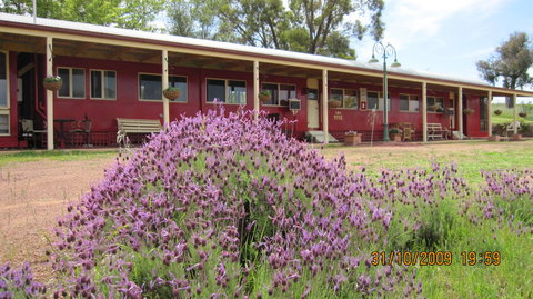 Last Stop Ambledown Brook - Accommodation QLD 3
