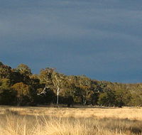Namadgi National Park - Accommodation QLD