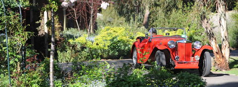 Wintarni Olives - Accommodation QLD 1