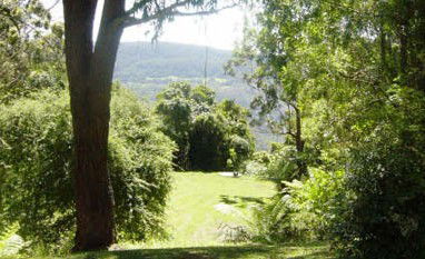 Red Dog Retreat - Accommodation QLD 1