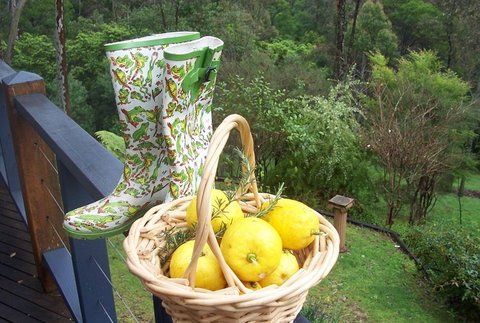 Bellbird Cottage Bed And Breakfast - Accommodation QLD 4