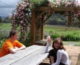 Back Forest Retreat - Accommodation QLD 1