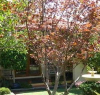 Akame - Accommodation QLD