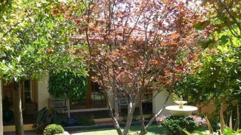 Akame - Accommodation QLD 0