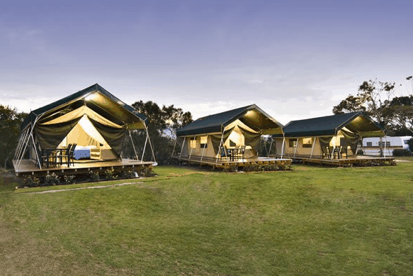 Hastings Point Holiday Park - Accommodation QLD