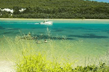 Wooli Camping and Caravan Park - Accommodation QLD
