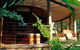 Mt Warning Rainforest Retreat  - thumb 5