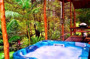 A Waterfall Hideout-Rainforest Cabin For Couples - Accommodation QLD 5