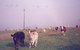 Seeview Farmstay - thumb 0