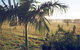 Seeview Farmstay - thumb 1