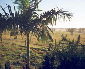 Seeview Farmstay - Accommodation QLD 1