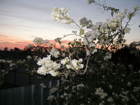 Sonjas Bed And Breakfast - Accommodation QLD 2