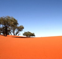 Theldarpa Stationstay - Accommodation QLD