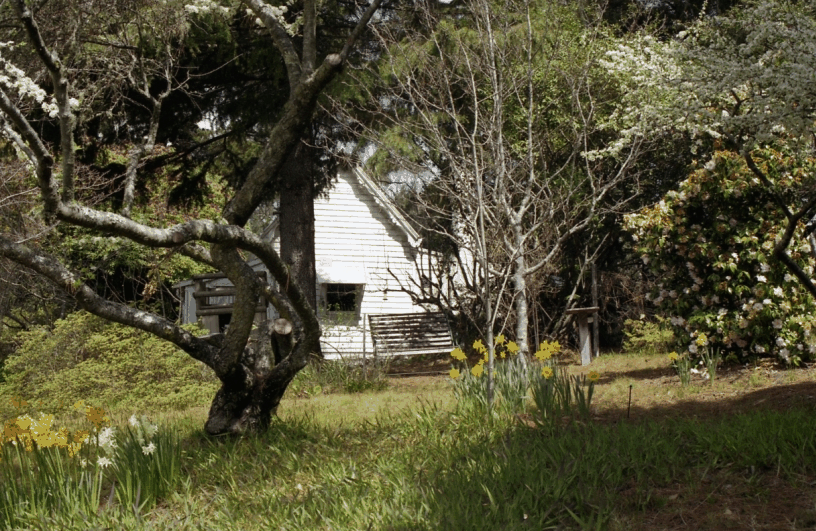 Avoca Cottage - thumb 3