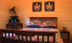 Saltbush Retreat - Accommodation QLD 2