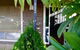 Townhouse Two - thumb 3