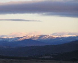 Snowy View Cottage - Accommodation QLD 2