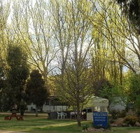 Snowy River Holiday Park - Accommodation QLD