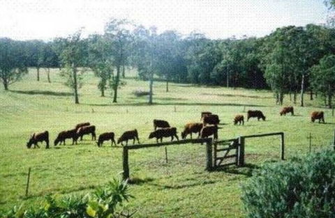 Bella Vista Cottage - Accommodation QLD 1