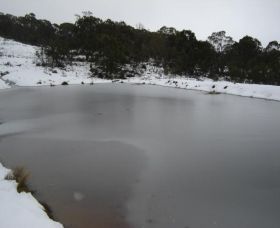 Old Minton Farmstay - Accommodation QLD 1