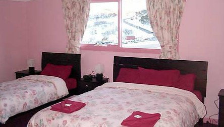 Snow Bunny - Accommodation QLD 2