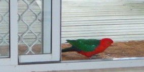 Azalea Cottage - Accommodation QLD 5