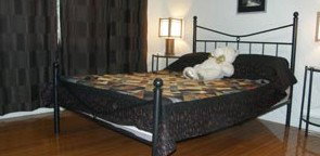 Artisans ...on The Hill Bed And Breakfast - Accommodation QLD 2