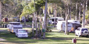 Brigadoon Holiday Park - Accommodation QLD 2