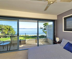 Dolphins - Accommodation QLD 0