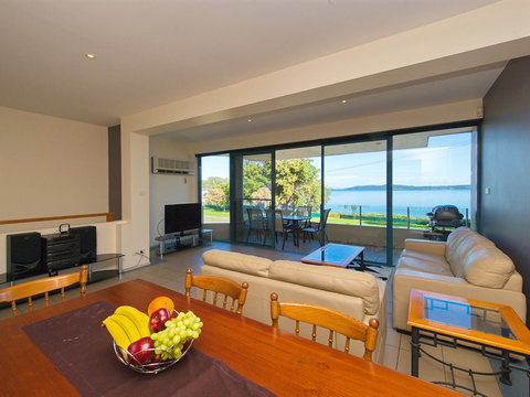 Dolphins - Accommodation QLD 1