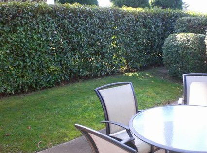Boronia Lodge Apartments - Accommodation QLD 3