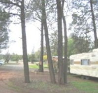 The Kelpie Caravan Park - Accommodation QLD